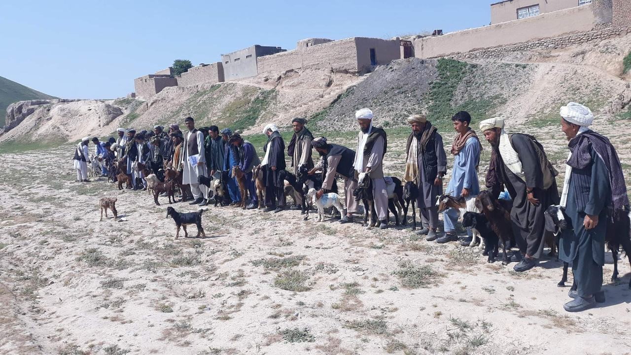بادغیس