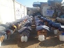 برای بیش از ۵۰۰ فامیل در کندز پول نقد ومواد غیر خوراکی مساعدت صورت گرفت