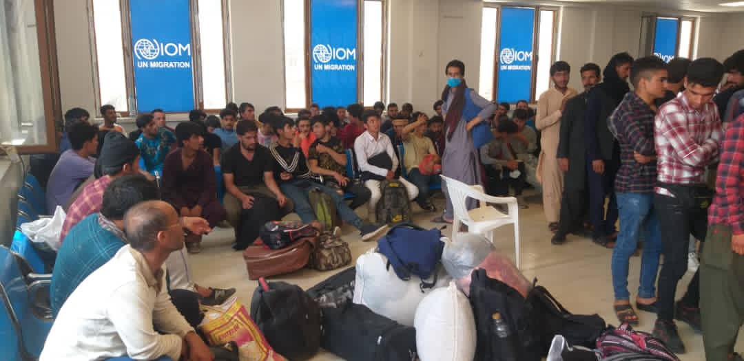 محمد اشرف حنیفی