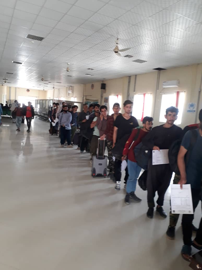 محمد اشرف حنیفی